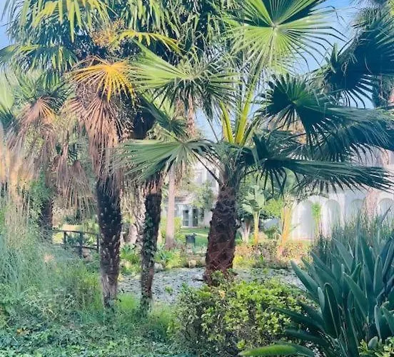 Pajaro Cantor Hoyo 16 * Fuengirola