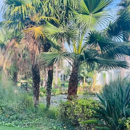 Pajaro Cantor Hoyo 16 * Fuengirola