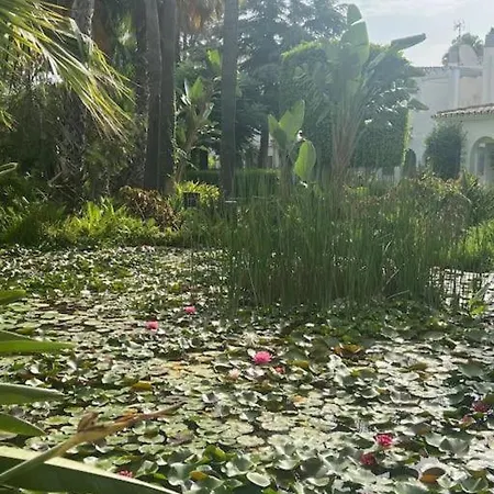 Pajaro Cantor Hoyo 16 Фуэнхирола