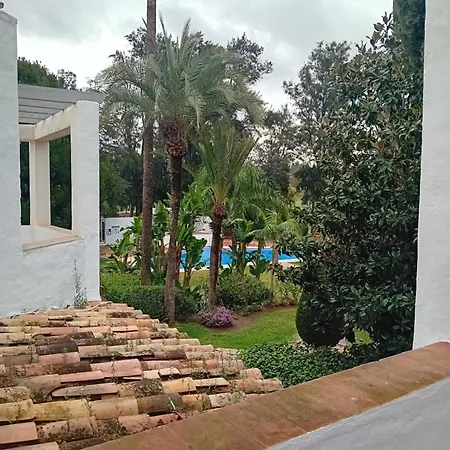 Pajaro Cantor Hoyo 16 *