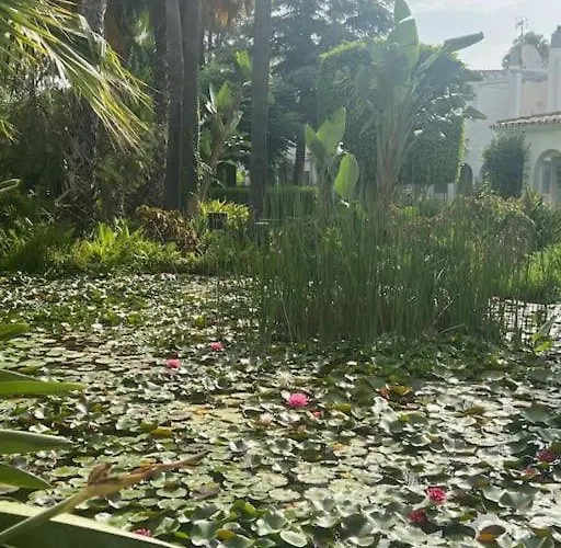 Pájaro Cantor Hoyo 16 Fuengirola