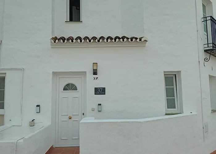 Pájaro Cantor Hoyo 16 Fuengirola