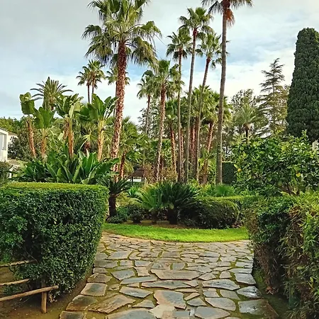 Tatil Evi Pajaro Cantor Hoyo 16 *