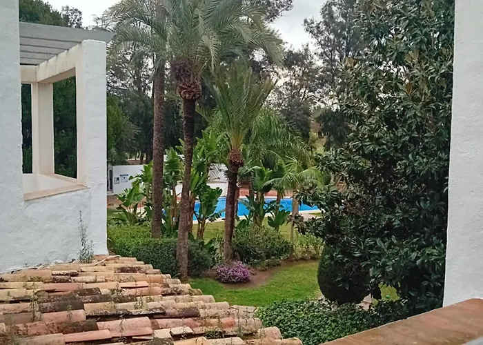 Pajaro Cantor Hoyo 16 *